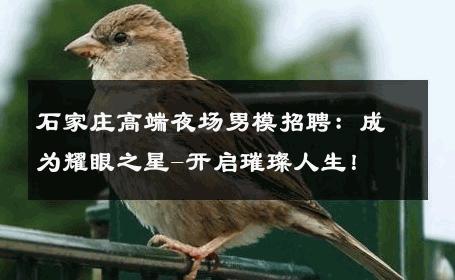 石家庄高端夜场男模招聘：成为耀眼之星-开启璀璨人生！ 