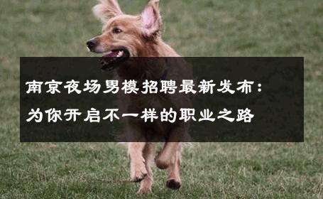 南京夜场男模招聘最新发布：为你开启不一样的职业之路 