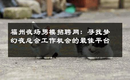 福州夜场男模招聘网：寻找梦幻夜总会工作机会的最佳平台 