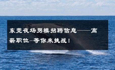东莞夜场男模招聘信息——高薪职位-等你来挑战！ 