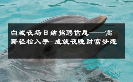 白城夜场日结招聘信息——高薪轻松入手-成就夜晚财富梦想 