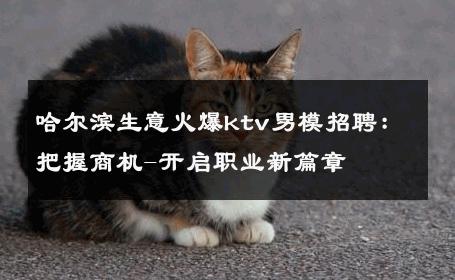 哈尔滨生意火爆ktv男模招聘：把握商机-开启职业新篇章 
