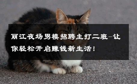丽江夜场男模招聘主打二班-让你轻松开启赚钱新生活！ 
