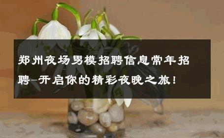郑州夜场男模招聘信息常年招聘-开启你的精彩夜晚之旅！ 