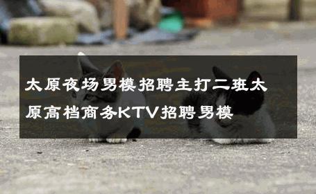 太原夜场男模招聘主打二班太原高档商务KTV招聘男模 