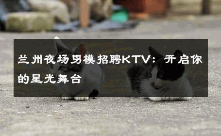 兰州夜场男模招聘KTV：开启你的星光舞台 