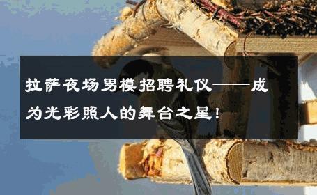 拉萨夜场男模招聘礼仪——成为光彩照人的舞台之星！ 