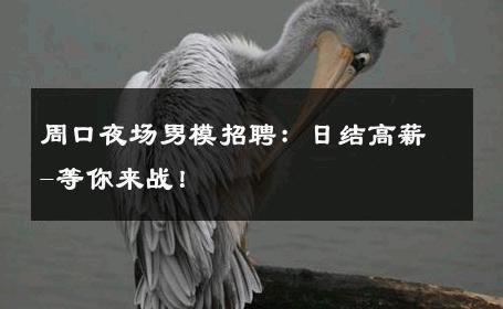 周口夜场男模招聘：日结高薪-等你来战！ 