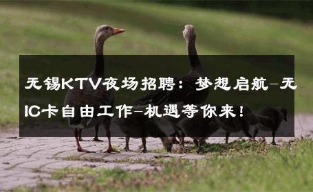 无锡KTV夜场招聘：梦想启航-无IC卡自由工作-机遇等你来！ 
