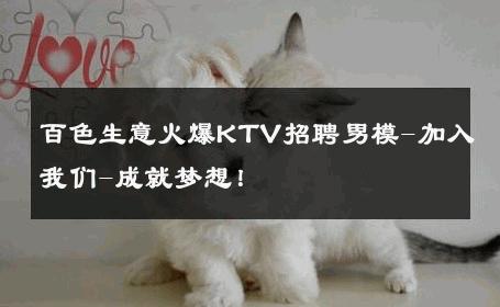 百色生意火爆KTV招聘男模-加入我们-成就梦想！ 