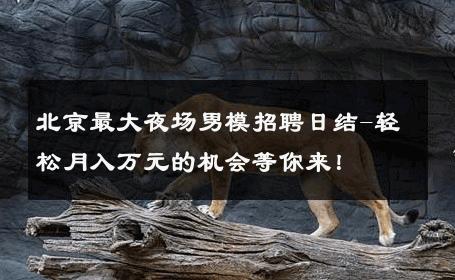 北京最大夜场男模招聘日结-轻松月入万元的机会等你来！ 