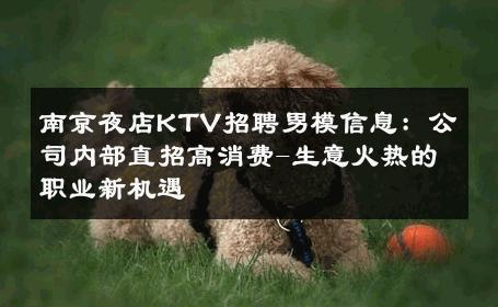 南京夜店KTV招聘男模信息：公司内部直招高消费-生意火热的职业新机遇 