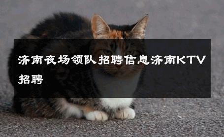 济南夜场领队招聘信息济南KTV招聘 