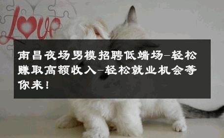 南昌夜场男模招聘低端场-轻松赚取高额收入-轻松就业机会等你来！ 