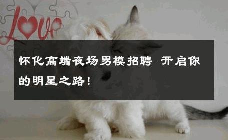 怀化高端夜场男模招聘-开启你的明星之路！ 