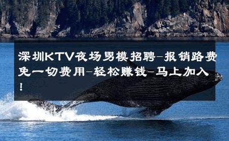 深圳KTV夜场男模招聘-报销路费免一切费用-轻松赚钱-马上加入！ 