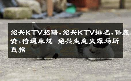 绍兴KTV招聘,绍兴KTV排名,保底工资,待遇卓越-绍兴生意火爆场所直招