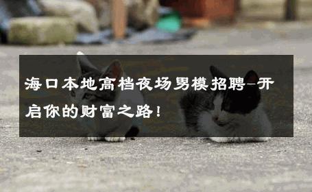 海口本地高档夜场男模招聘-开启你的财富之路！ 