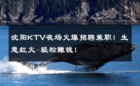 沈阳KTV夜场火爆招聘兼职！生意红火-轻松赚钱！ 