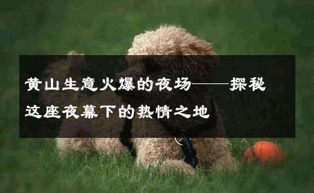 黄山生意火爆的夜场——探秘这座夜幕下的热情之地 