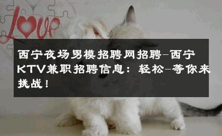 西宁夜场男模招聘网招聘-西宁KTV兼职招聘信息：轻松-等你来挑战！ 