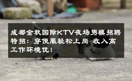 成都金秋国际KTV夜场男模招聘特招：穿便服轻松上岗-收入高工作环境优！ 