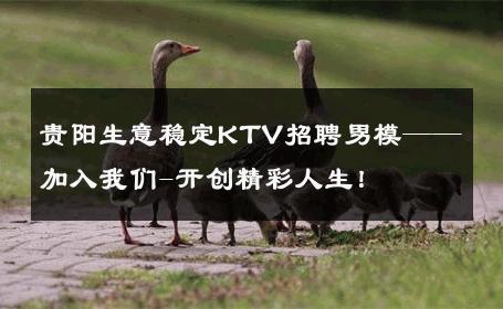 贵阳生意稳定KTV招聘男模——加入我们-开创精彩人生！ 