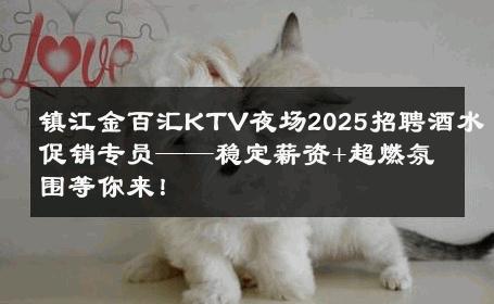 镇江金百汇KTV夜场2025招聘酒水促销专员——稳定薪资+超燃氛围等你来！ 