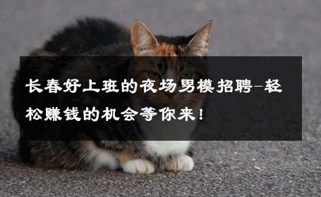 长春好上班的夜场男模招聘-轻松赚钱的机会等你来！ 