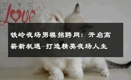铁岭夜场男模招聘网：开启高薪新机遇-打造精英夜场人生 