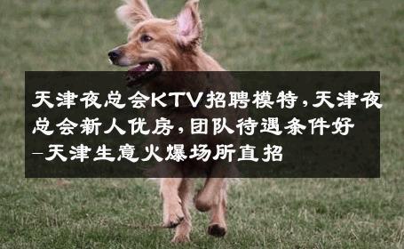 天津夜总会KTV招聘模特,天津夜总会新人优房,团队待遇条件好-天津生意火爆场所直招