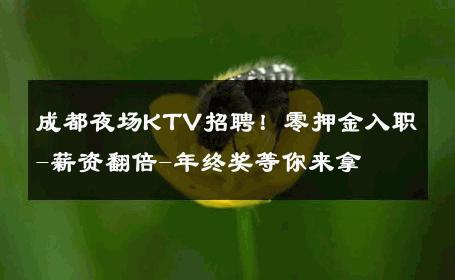 成都夜场KTV招聘！零押金入职-薪资翻倍-年终奖等你来拿 
