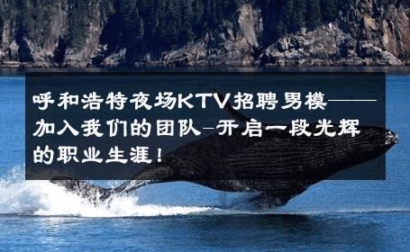 呼和浩特夜场KTV招聘男模——加入我们的团队-开启一段光辉的职业生涯！ 