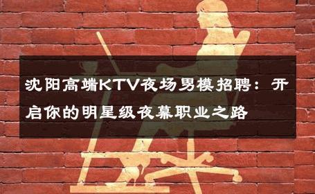 沈阳高端KTV夜场男模招聘：开启你的明星级夜幕职业之路 