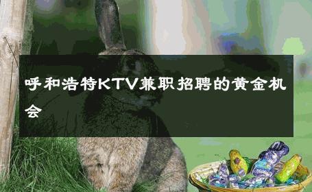 呼和浩特KTV兼职招聘的黄金机会 