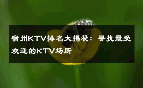 宿州KTV排名大揭秘：寻找最受欢迎的KTV场所