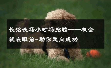 长治夜场小时场招聘——机会就在眼前-助你走向成功 