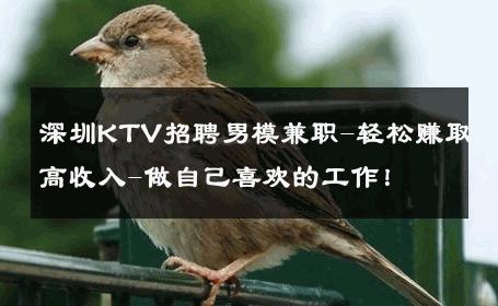深圳KTV招聘男模兼职-轻松赚取高收入-做自己喜欢的工作！ 