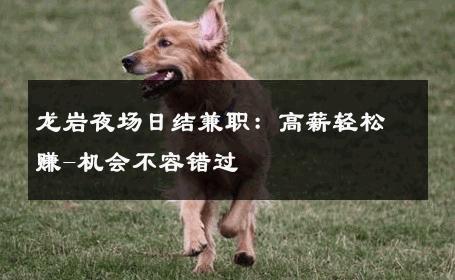 龙岩夜场日结兼职：高薪轻松赚-机会不容错过 