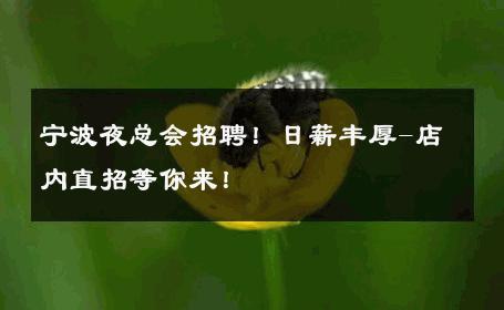 宁波夜总会招聘！日薪丰厚-店内直招等你来！ 