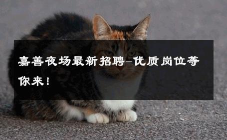 嘉善夜场最新招聘-优质岗位等你来！ 