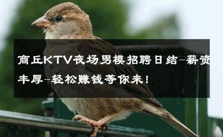 商丘KTV夜场男模招聘日结-薪资丰厚-轻松赚钱等你来！ 