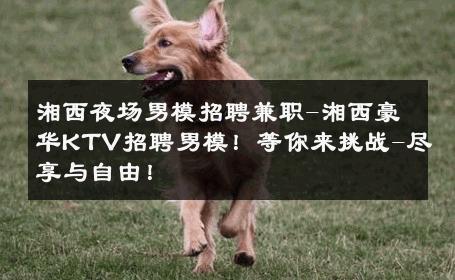 湘西夜场男模招聘兼职-湘西豪华KTV招聘男模！等你来挑战-尽享与自由！ 