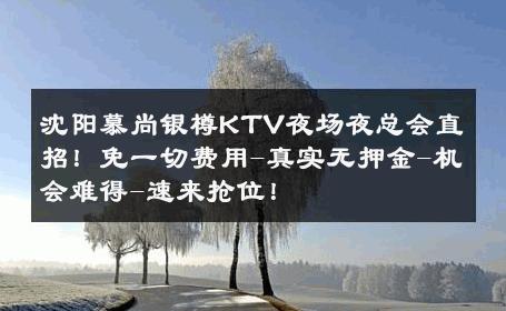 沈阳慕尚银樽KTV夜场夜总会直招！免一切费用-真实无押金-机会难得-速来抢位！ 