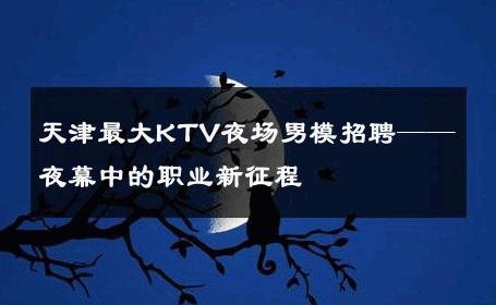 天津最大KTV夜场男模招聘——夜幕中的职业新征程 