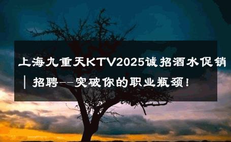 上海九重天KTV2025诚招酒水促销｜招聘--突破你的职业瓶颈！ 