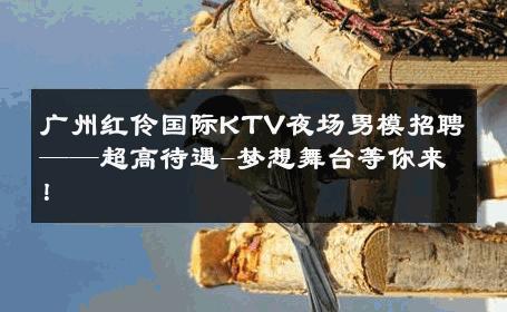 广州红伶国际KTV夜场男模招聘——超高待遇-梦想舞台等你来！ 