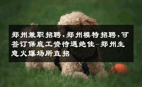 郑州兼职招聘,郑州模特招聘,可签订保底工资待遇绝佳-郑州生意火爆场所直招
