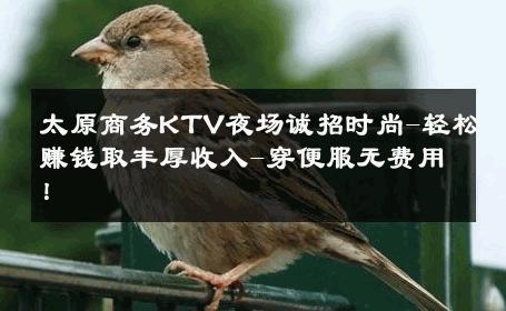 太原商务KTV夜场诚招时尚-轻松赚钱取丰厚收入-穿便服无费用！ 
