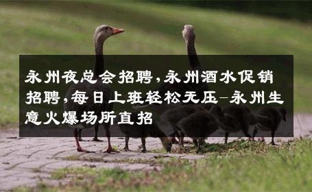 永州夜总会招聘,永州酒水促销招聘,每日上班轻松无压-永州生意火爆场所直招